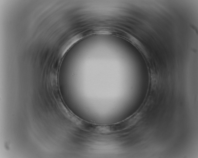 X0000103501194200809191938