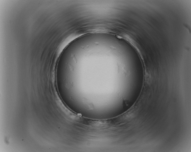 X0000103501195200809191938