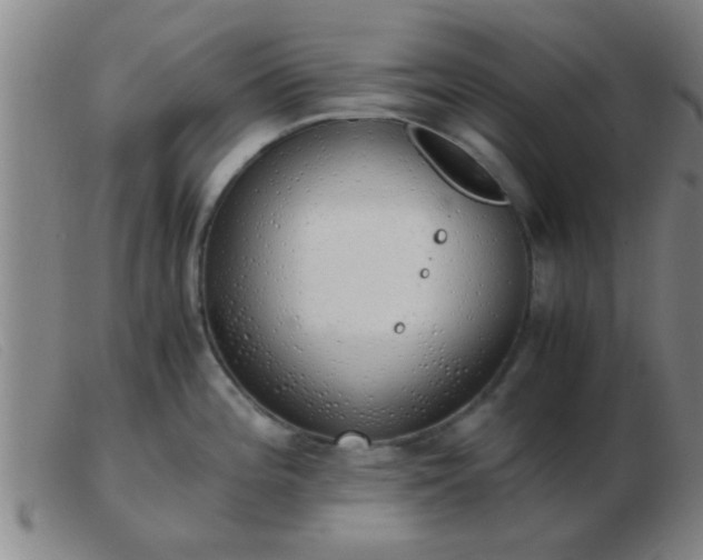 X0000103501196200809191938