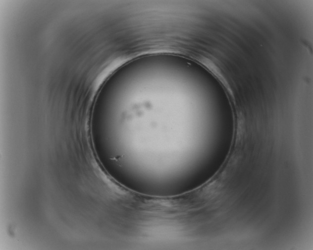 X0000103501197200809191938