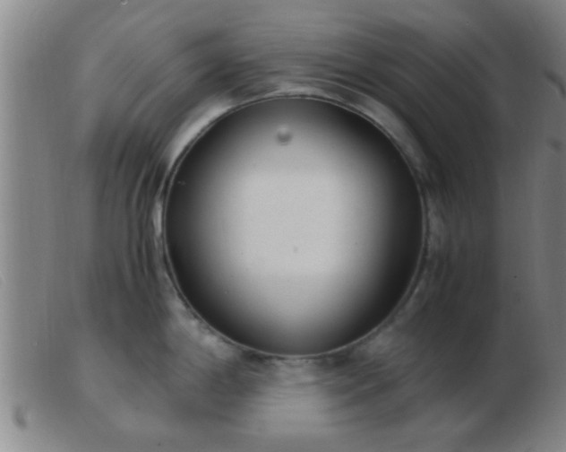 X0000103501198200809191938