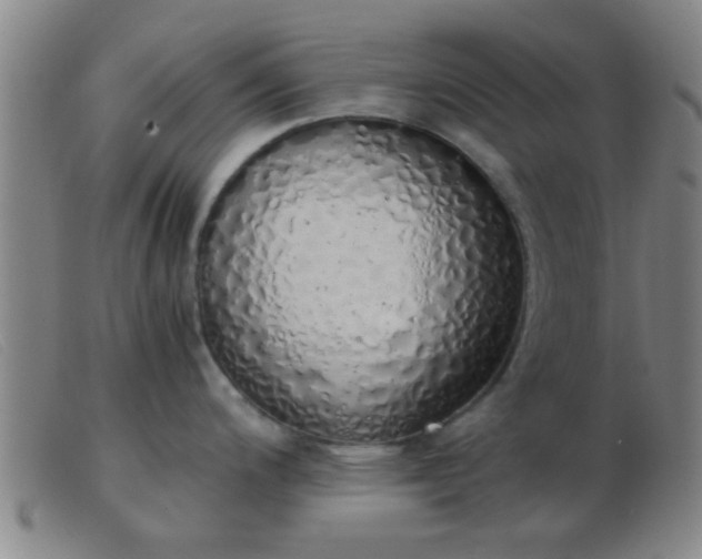 X0000103501200200809191938