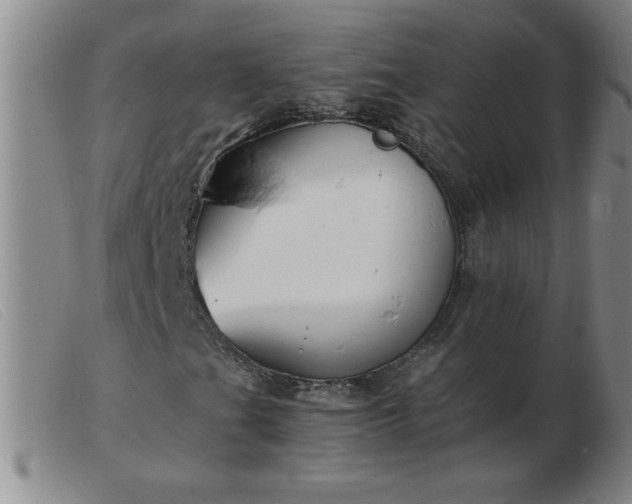 X0000103501201200809191937