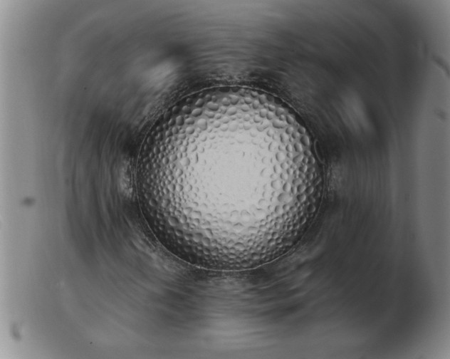 X0000103501202200809191937