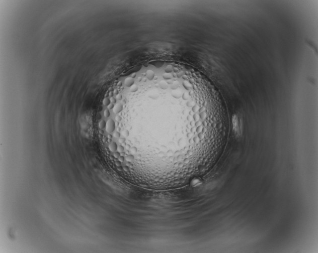 X0000103501203200809191937