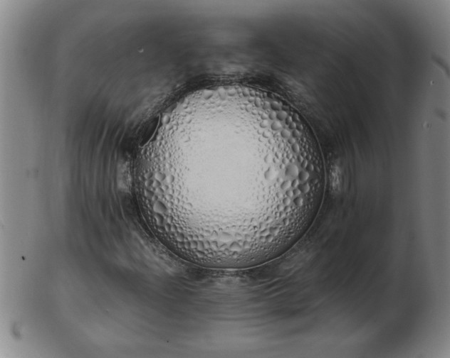 X0000103501204200809191937