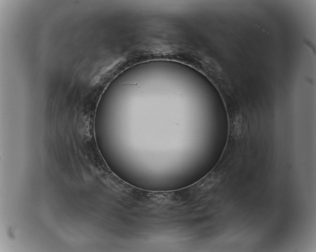 X0000103501205200809191937