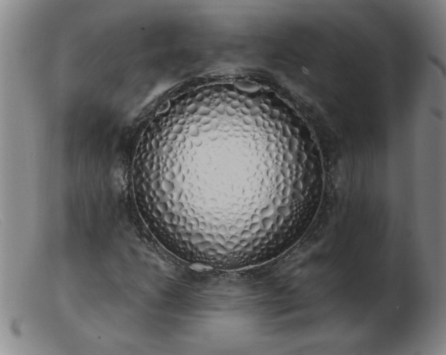 X0000103501206200809191937