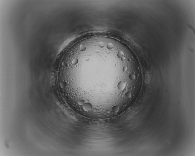 X0000103501208200809191937