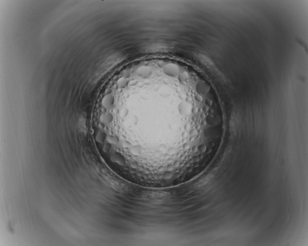 X0000103501209200809191937