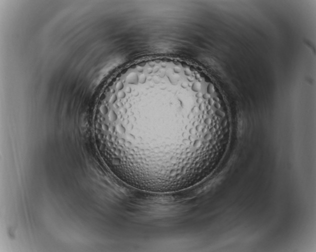 X0000103501210200809191937