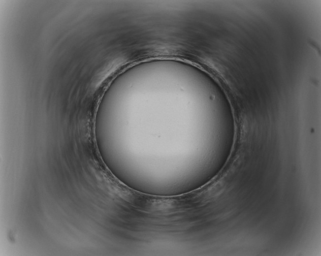 X0000103501211200809191937