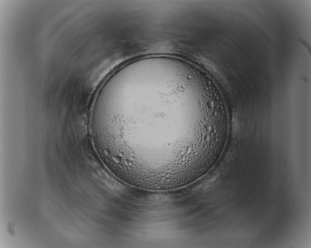 X0000103501212200809191937