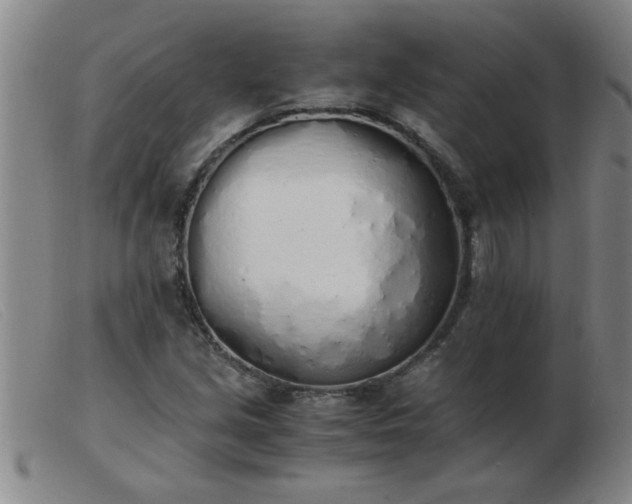 X0000103501213200809191937