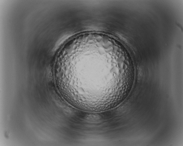 X0000103501215200809191937