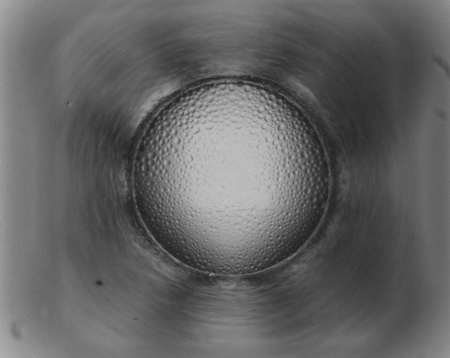 X0000103501218200809191938