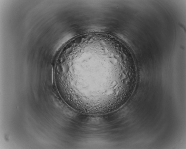 X0000103501219200809191938