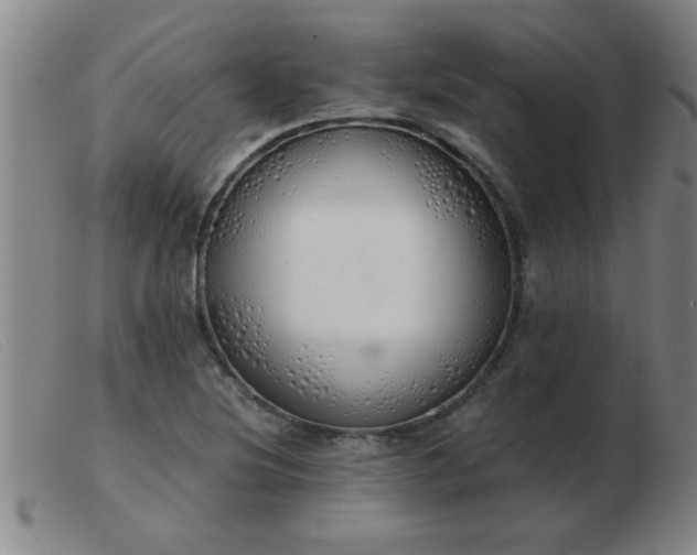 X0000103501220200809191938