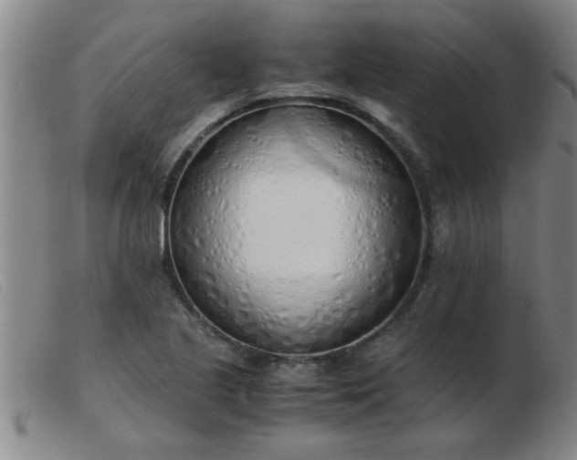 X0000103501221200809191938