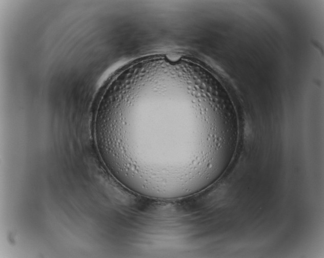 X0000103501222200809191938