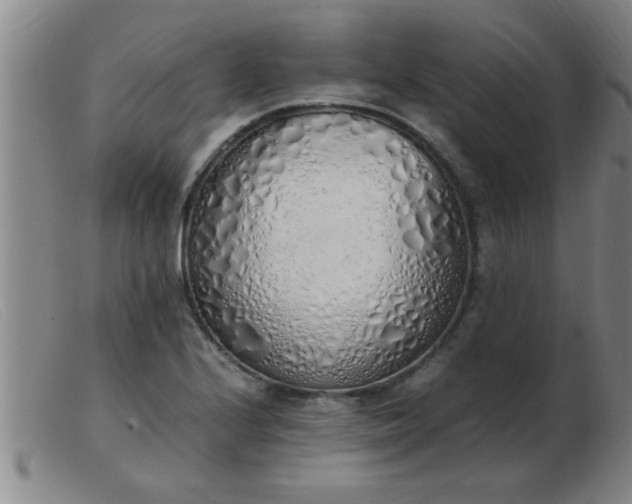 X0000103501224200809191938