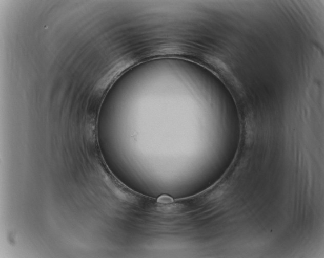 X0000103501225200809191938