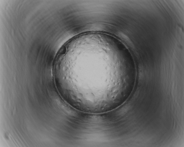 X0000103501226200809191938