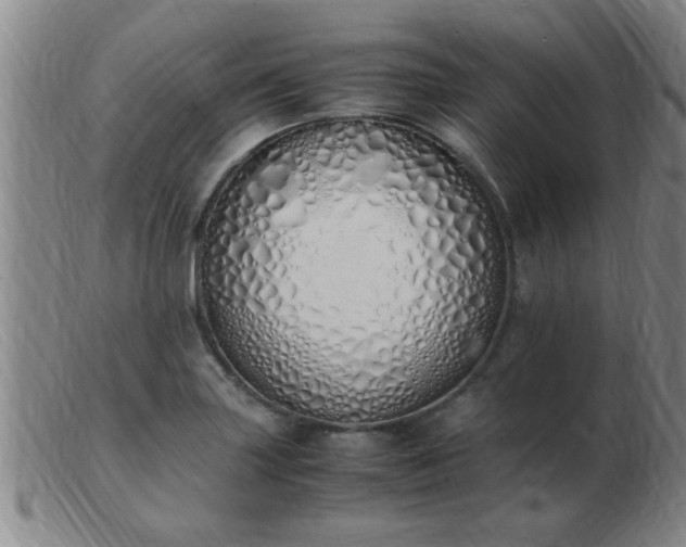 X0000103501227200809191938