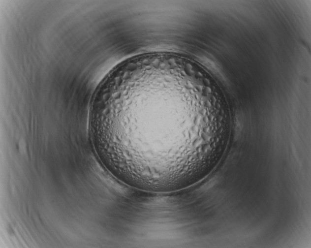 X0000103501228200809191938