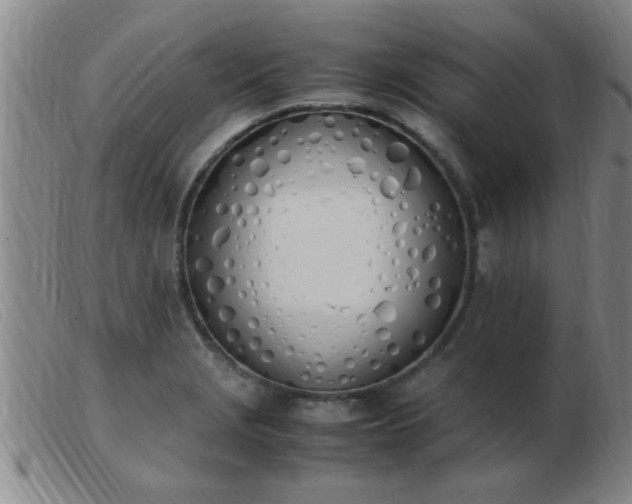 X0000103501229200809191938