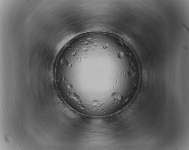 X0000103501230200809191938