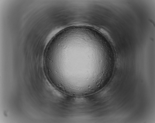 X0000103501231200809191938