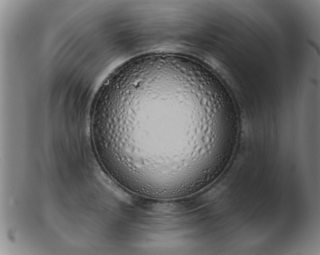 X0000103501232200809191938