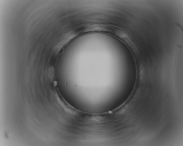 X0000103501233200809191938