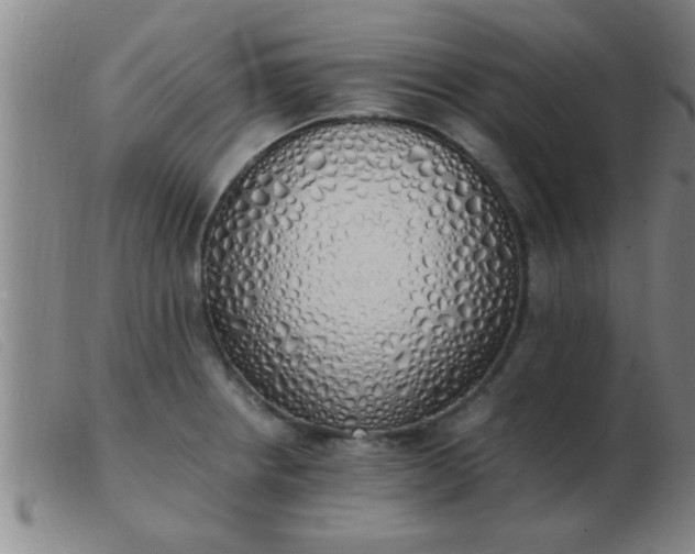 X0000103501234200809191938