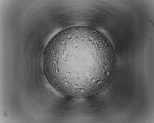 X0000103501235200809191938