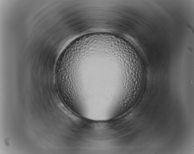 X0000103501236200809191938