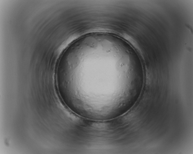 X0000103501237200809191938