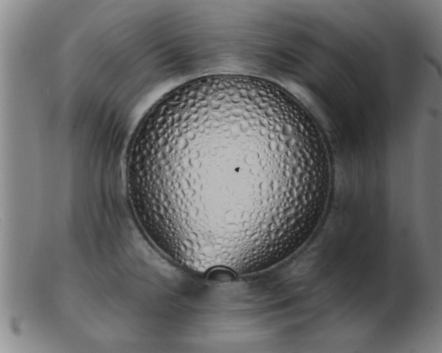 X0000103501238200809191938