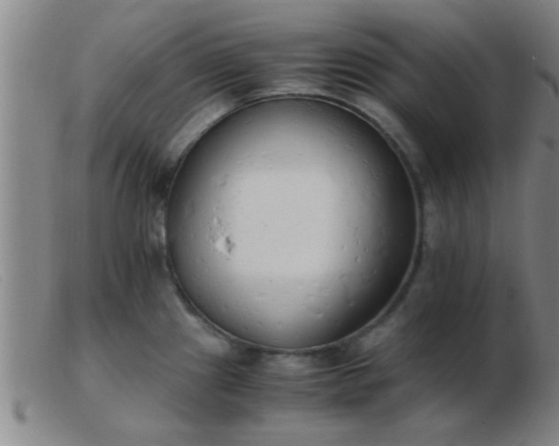 X0000103501241200809191938