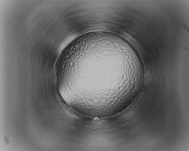 X0000103501242200809191938