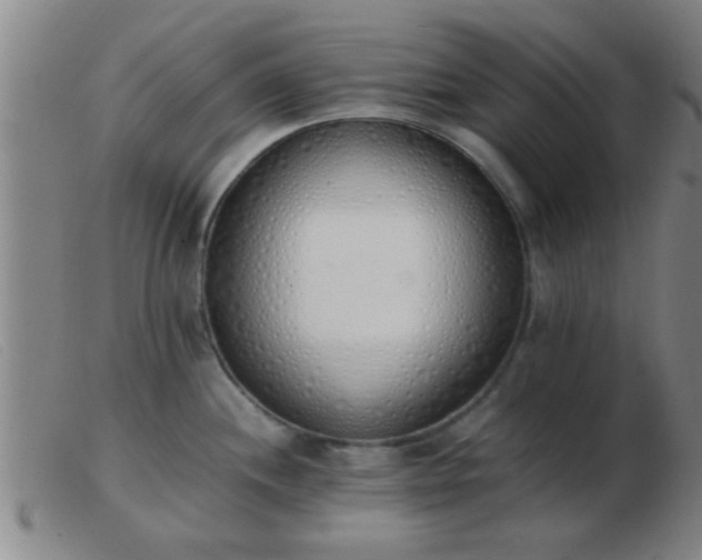 X0000103501244200809191938