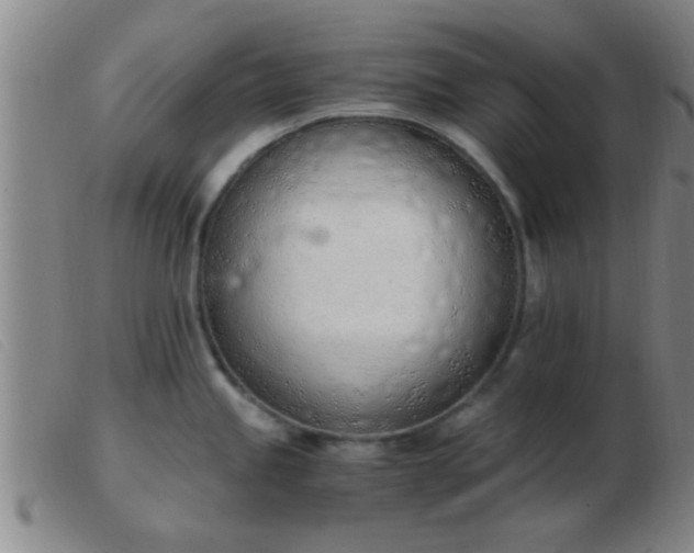 X0000103501245200809191938