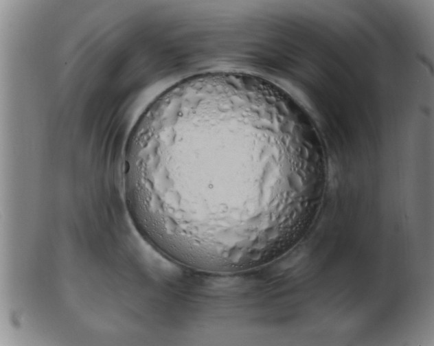 X0000103501247200809191938