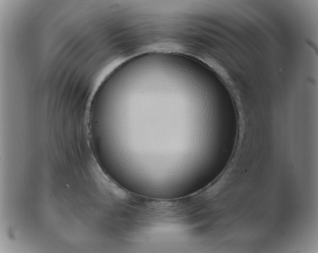 X0000103501248200809191938