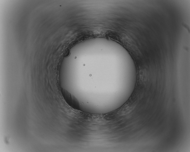 X0000103501249200809191937