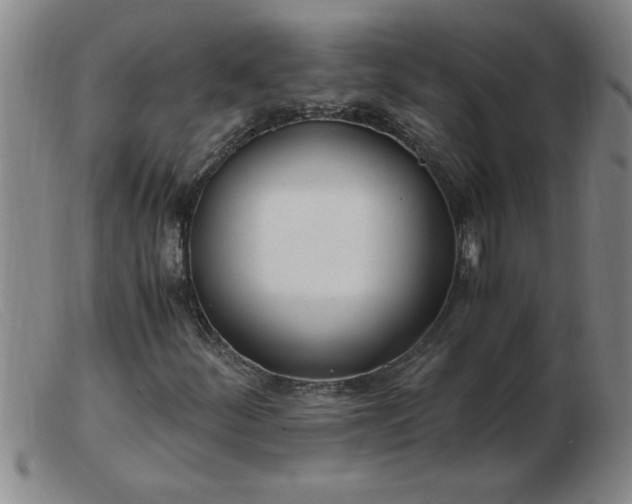 X0000103501252200809191937