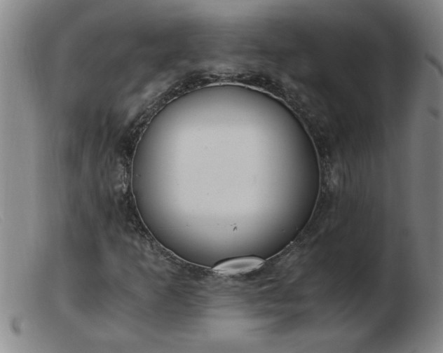 X0000103501253200809191937