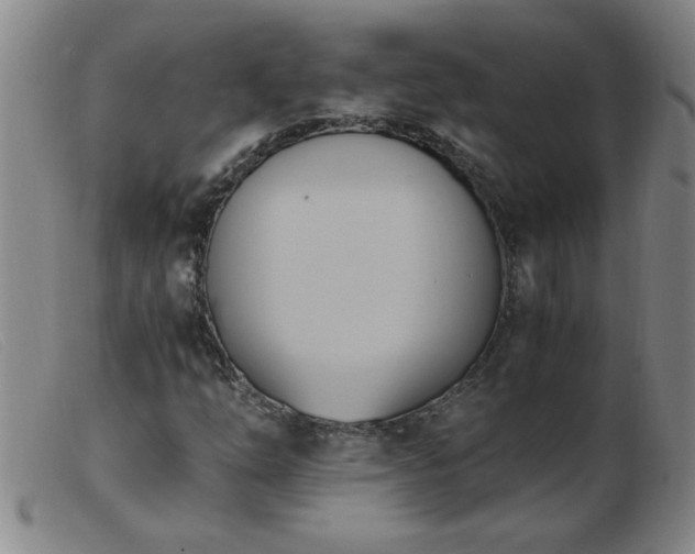 X0000103501254200809191937