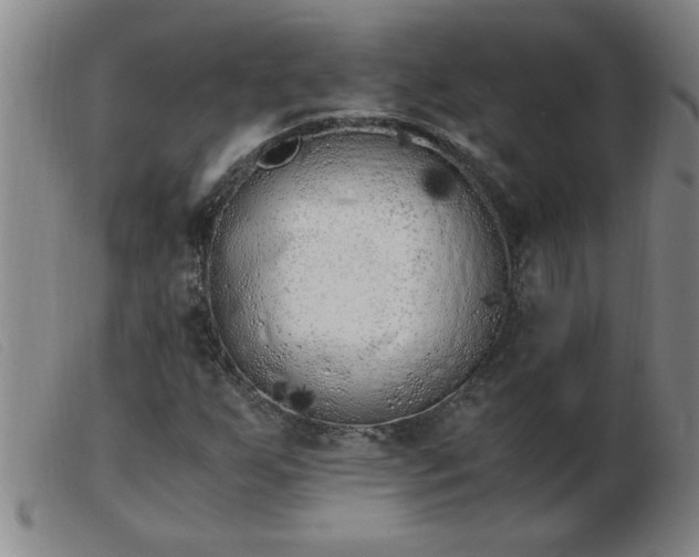 X0000103501255200809191937